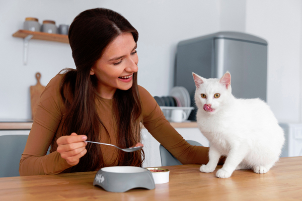Pets article